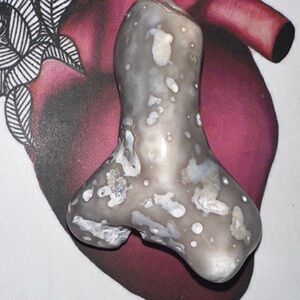 Tampa Bay FL agatized coral 🪸 piece oddity shape 😂